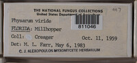 Image Associated With the Occurence